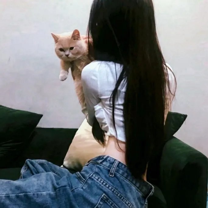 滑稽秀